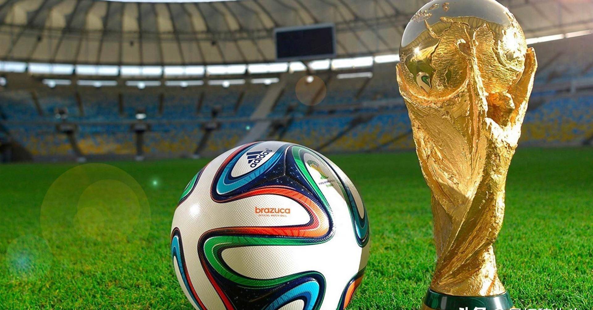 历史记录 历史记录